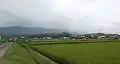 まんのう町ひまわりまつり2016の風景