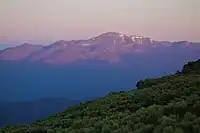 ニペソツ山からのトムラウシ山