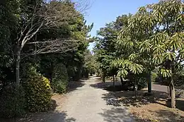 新木場緑道公園