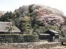 新林公園の春（小池邸）