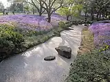 川を埋め尽くす桜の花びら