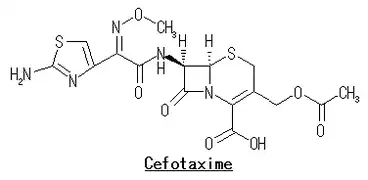 セフォタキシム