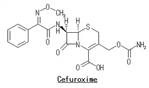 セフロキシム