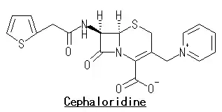 セファロリジン