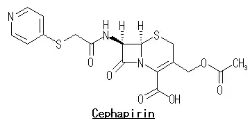 セファピリン