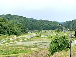 毛原の棚田