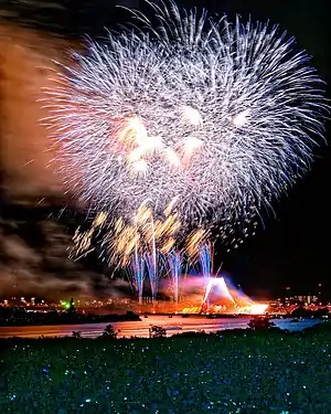 江戸川区花火大会2019（江戸川区側 富士山仕掛け花火の模様）