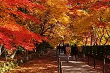 光明寺「もみじ参道」