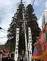 2017年2月11日 鉾持神社十四日市（だるま市）