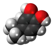 Space-filling model of the 4-tert-butylcatechol molecule{{{画像alt1}}}