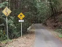 旧道の山間区間の様子。山林の樹木に覆われて日光が当たりにくい路面と、積もる落ち葉や木の実･折れた枝。