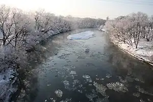 阿寒川 2013年1月4日撮影