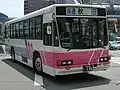 秋田中央交通が充当していた貸切塗装の一般路線車