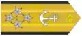 ブラジル海軍大将(Almirante-de-Esquadra)