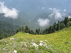 見下ろす山麓に浮かぶ断片層雲