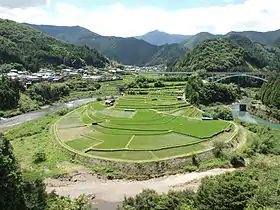 あらぎ島