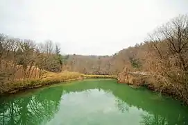 武蔵丘陵の谷津沼（国営武蔵丘陵森林公園）