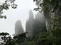 柴埠渓国家森林公園