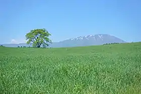 賢治と歩く小岩井農場を巡るみち