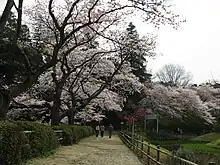 清水公園（千葉県野田市）