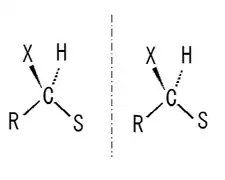 キラル置換基を持つ不斉炭素の二つの鏡像