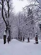 シュテファン・チェル・マレ公園の雪景色