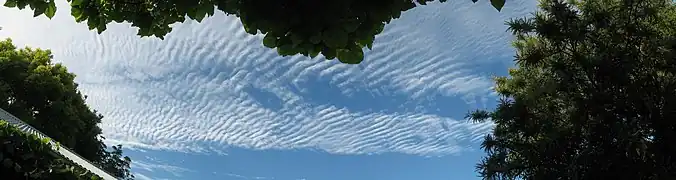 波状高層雲