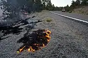 道路脇での野焼き