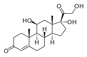コルチゾール