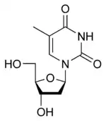 Chemical structure of thymidine