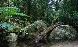 デーンツリー国立公園