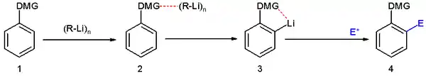 Scheme 1. オルトメタル化