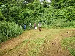 ジュアベソ郡・ビア国立公園（2010年）