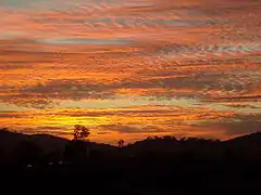 多数の波模様ができた高積雲