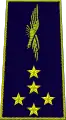 フランス空軍大将(Général d'armée aérienne)