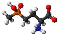 Ball-and-stick model of the glufosinate zwitterion{{{画像alt1}}}