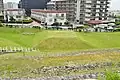 くびれ部東側島状遺構