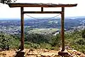 金刀比羅神社の鳥居越しに見る巾着田