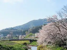 町を貫く桜川