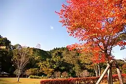 城山公園（岩出山城跡）