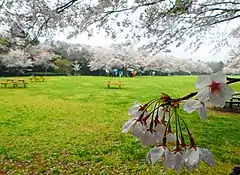 泉自然公園（千葉県千葉市）