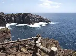 城ヶ崎海岸の自然とふれあうみち