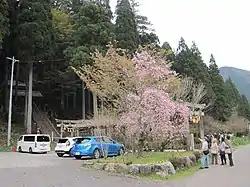 根道神社全景