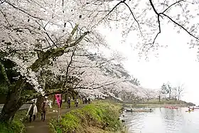 海津大崎（滋賀県高島市）