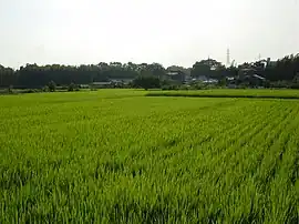 神屋町の田園風景。付近には内津川と愛知用水が流れる。