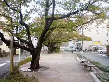 中井筋緑道