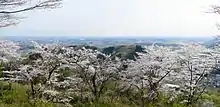 太平山県立自然公園（栃木県栃木市）