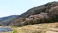 笠置山自然公園（京都府笠置町）