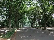 駒沢オリンピック公園