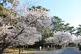 琴弾公園（香川県観音寺市）